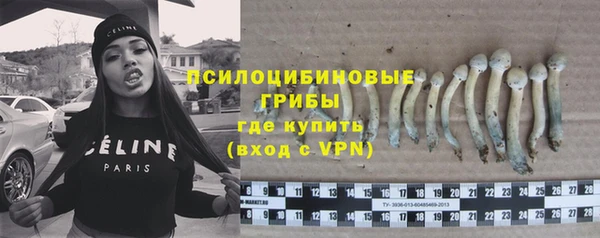 винт Алзамай