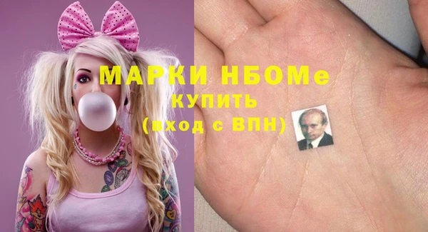 хмурый Алексин