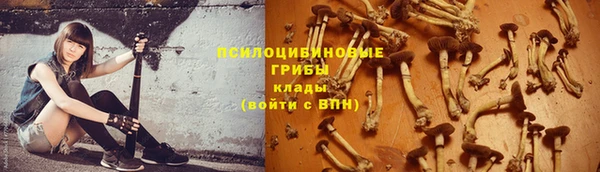 хмурый Алексин