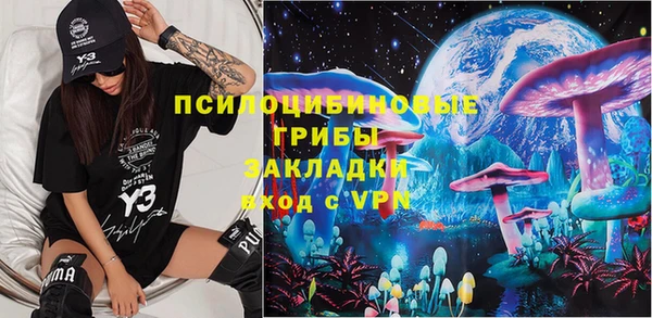 хмурый Алексин