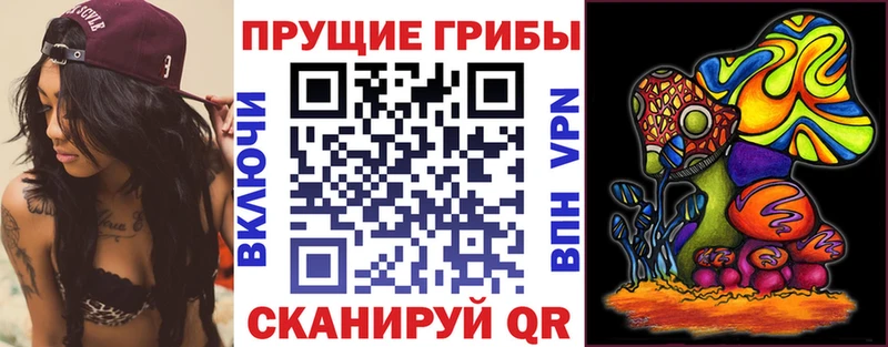 Псилоцибиновые грибы Magic Shrooms  ОМГ ОМГ   Бирск 
