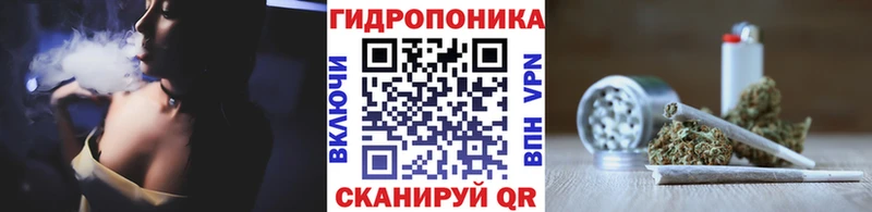 блэк спрут tor  Бирск  Каннабис индика 